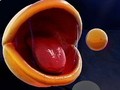 Oyun Pac-Man 3d