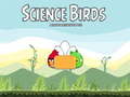 Oyun Science Birds