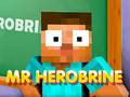 Oyun Mr Herobrine