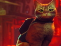 Oyun Stray