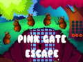 Oyun Pink Gate Escape
