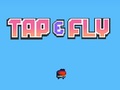 Oyun Tap Fly