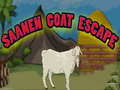 Oyun Saanen Goat Escape