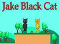 Oyun Jake Black Cat