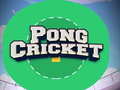 Oyun Pong Cricket