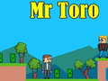 Oyun Mr Toro