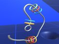 Oyun Make Rings Off 