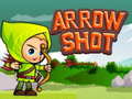 Oyun Arrow Shoot