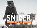 Oyun Wild Hunter sniper buck