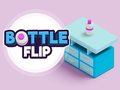 Oyun Bottle Flip