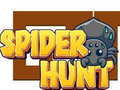 Oyun Spider Hunt