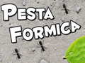 Oyun Pesta Formica