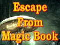 Oyun Escape From Magic Book