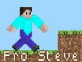 Oyun Pro Steve
