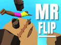 Oyun Mr Flip