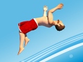 Oyun Flip Divers