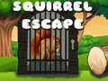 Oyun Squirrel Escape