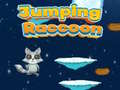 Oyun Jumping Raccoon