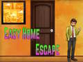 Oyun Amgel Easy Home Escape