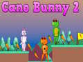 Oyun Cano Bunny 2