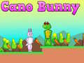 Oyun Cano Bunny