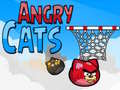 Oyun Angry Cats