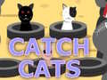 Oyun Catch Cats