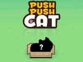 Oyun Push Push Cat