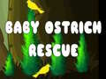 Oyun Baby Ostrich Rescue