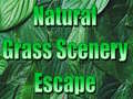 Oyun Natural Grass Scenery Escape