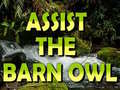 Oyun Assist The Barn Owl 