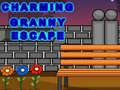 Oyun Charming Granny Escape