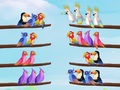 Oyun Bird Sort Puzzle