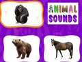 Oyun Animal Sounds