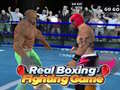 Oyun Real Boxing Fighting Game