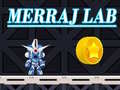 Oyun Merraj Lab