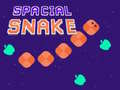 Oyun Spacial Snake