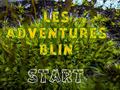 Oyun Les Adventures Blin