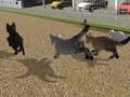 Oyun Run Cat Cat Race