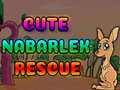 Oyun Cute Nabarlek Rescue