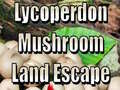 Oyun Lycoperdon Mushroom Land Escape