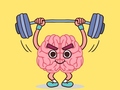 Oyun Perfect Brain 3d