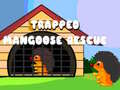 Oyun Trapped Mangoose Rescue