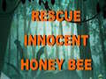 Oyun Rescue Innocent Honey Bee 