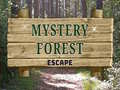 Oyun Mystery Forest