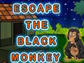 Oyun Escape The Black Monkey