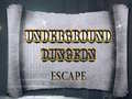 Oyun Underground Dungeon Escape