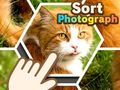 Oyun Sort Photograph