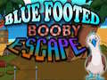 Oyun Blue Footed Booby Escape