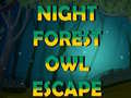 Oyun Night Forest Owl Escape